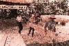Indonesia 2