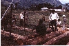 Viet Nam